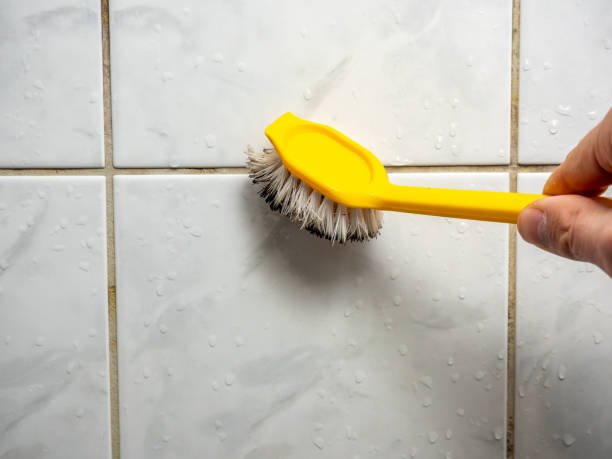 Best Certified Mold Removal  in El Mirage, AZ